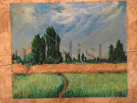 Campo de trigo
