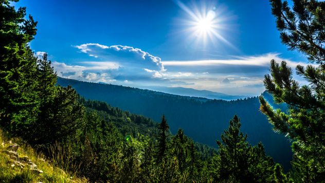 Great View Of The Forests Of Mountain