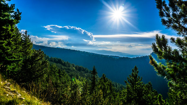 Great View Of The Forests Of Mountain Nature Color (Digital)