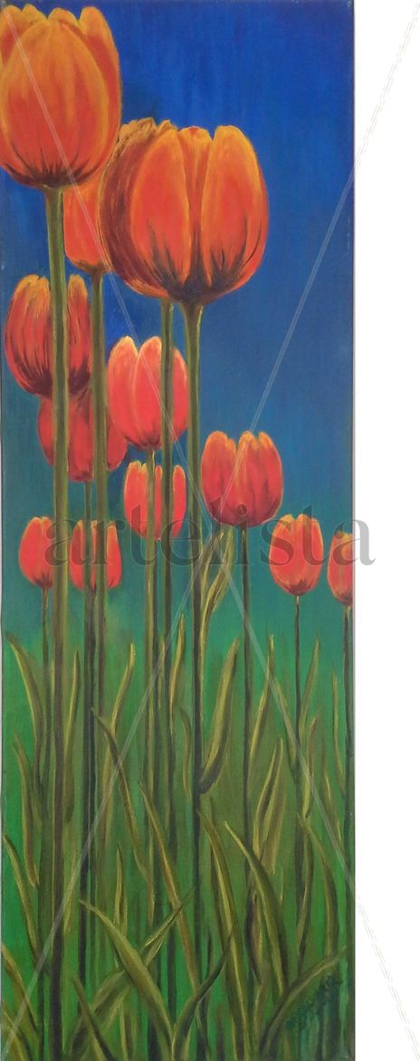 Tulipanes