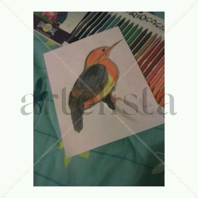 Dibujo pájaro
