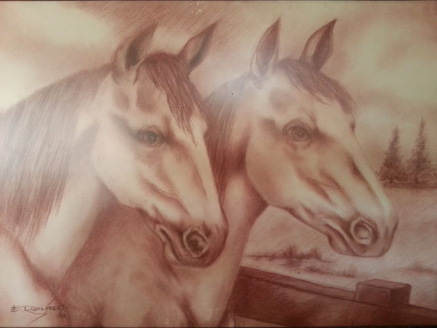 caballos