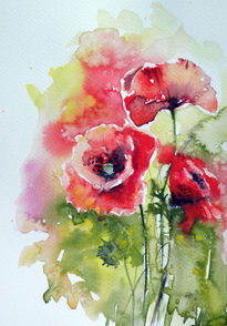 Poppies of summer