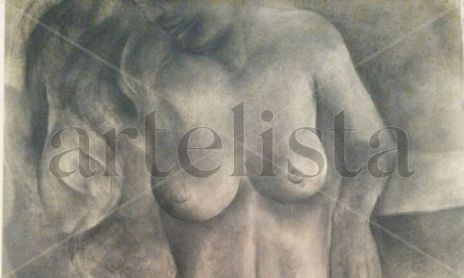 Serie Desnudos