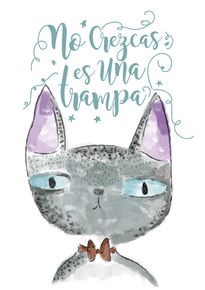 Gato