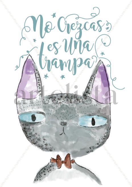 Gato