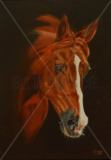 STALLION Oil Canvas Animals