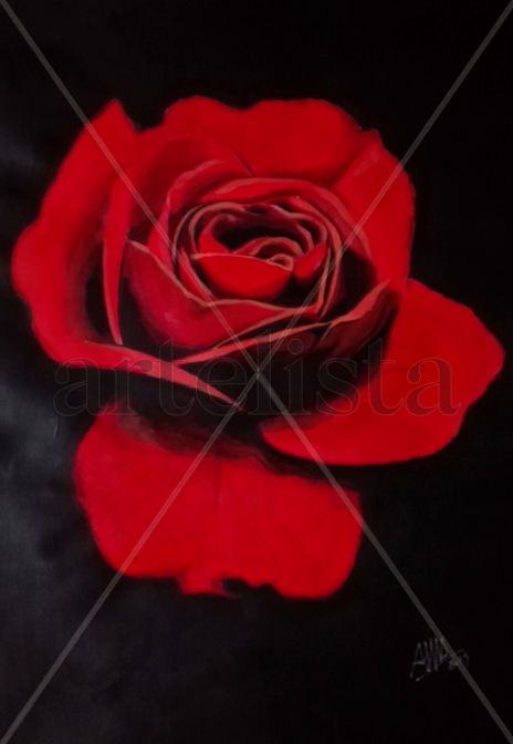 Rosa roja