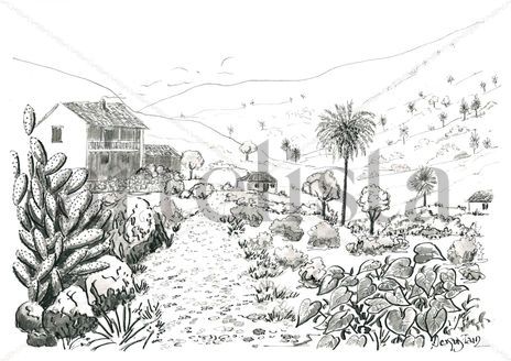 Paisaje Canario