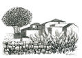 Paisaje Canario