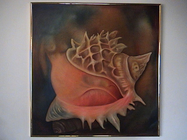 METAMORFÓSIS