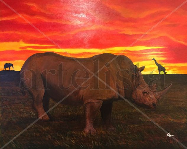 africa Acrylic Canvas Animals