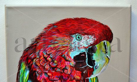 Animales
