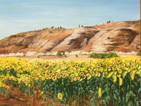 Campo de girasoles