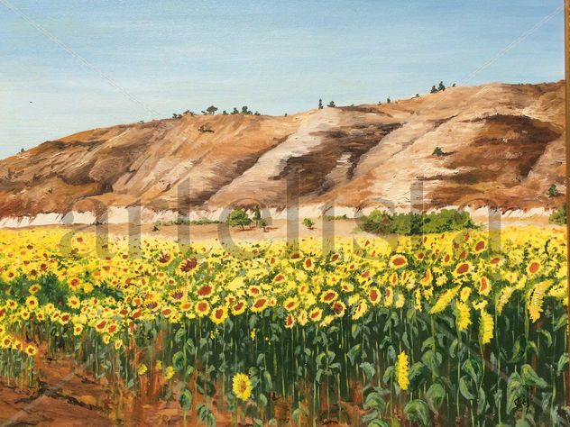campo de girasoles