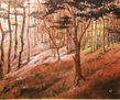 el bosque