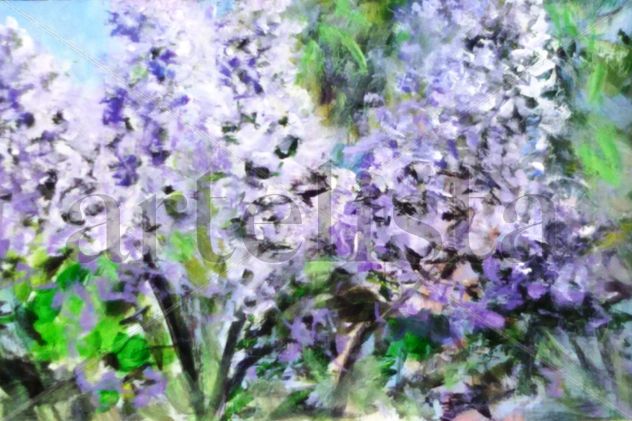 LIlas