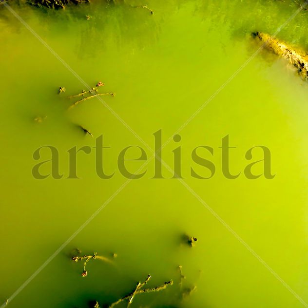 Cuatro Estratos. Extracto