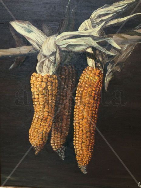 Mazorcas de maiz