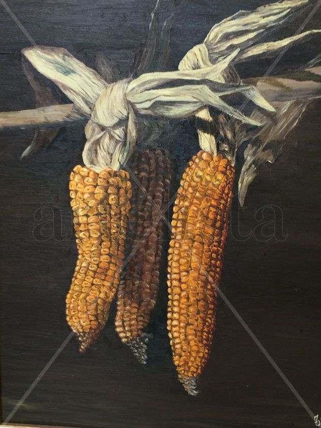 mazorcas de maiz