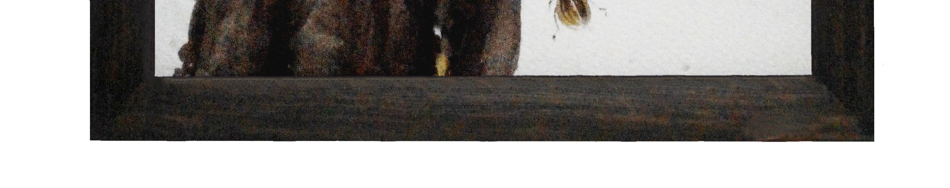 Imagen de portada