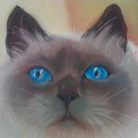 FELINOS thumbnail 1