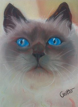 GATOS 2 Pastel Papel Animales