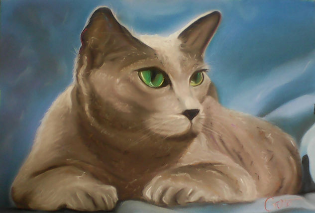 GATO 5 Oil Canvas Animals