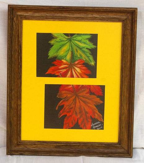 Obra20