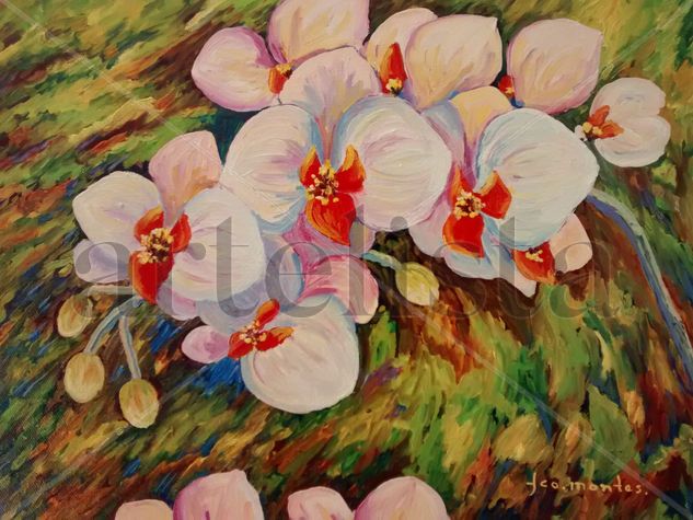 Orquideas Oil Canvas Landscaping