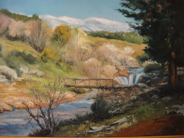 Rio en la Pedriza Oil Canvas Landscaping