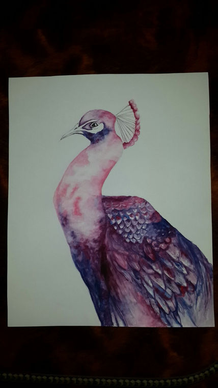 Pinky peacock