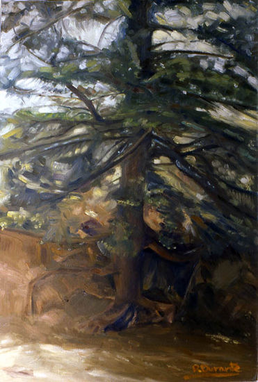 PINSAPO EN LA SIERRA DE LAS NIEVES Oil Panel Landscaping