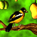 Venezuela thumbnail 1