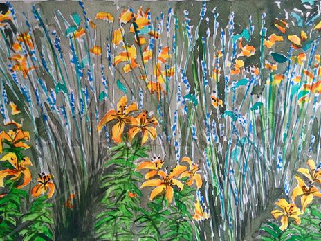 Campo de flores