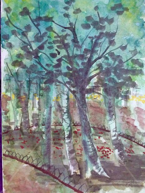 Parque