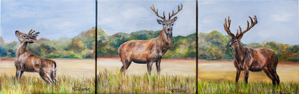 Deer 3