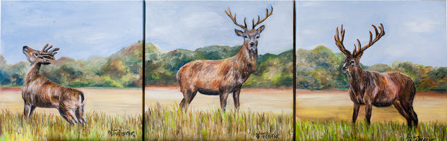 DEER 3 Oil Canvas Animals