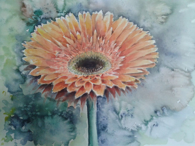 Gerbera Acuarela Papel Floral