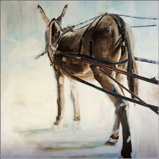 Burro Oil Canvas Animals