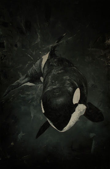 ORCA B/N Oil Canvas Animals