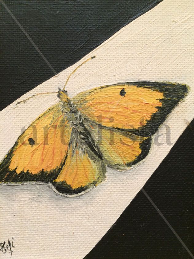 mariposa