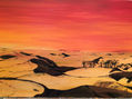 puesta de sol en el desierto