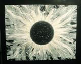 ANTIMATERIA