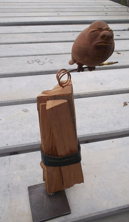 Pájaro