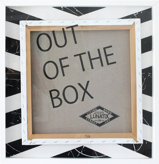 Out Of The Box Canvas Others