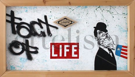 Fact of Life