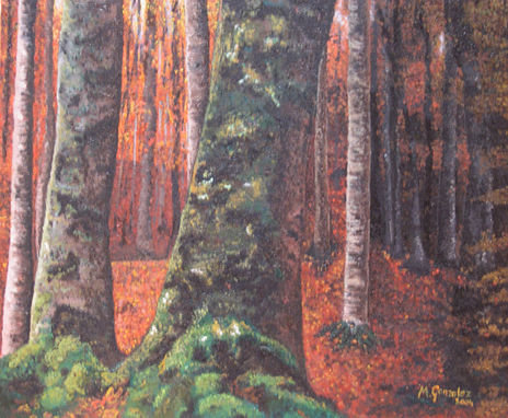 El bosque
