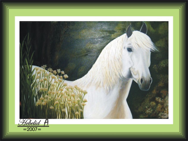 La Turquita Oil Canvas Animals