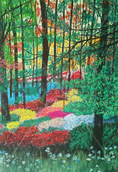 Los colores del...